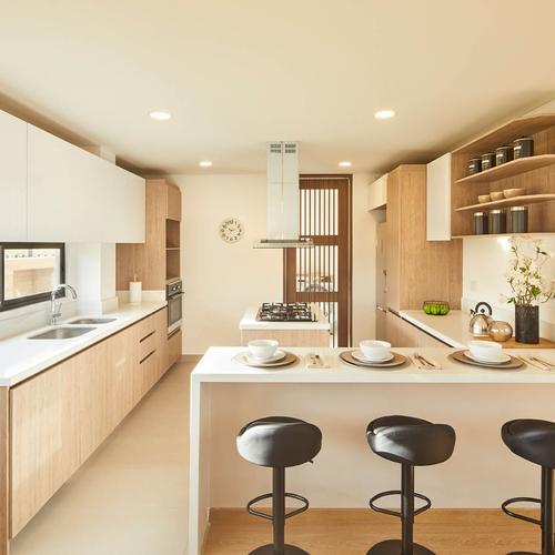 Portada de Conjunto Palo de Agua