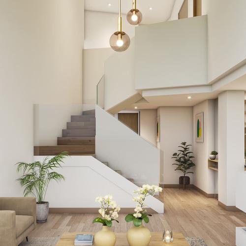 Portada de Conjunto Palo de Agua