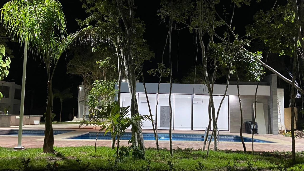 Portada de Bonanza Prisma