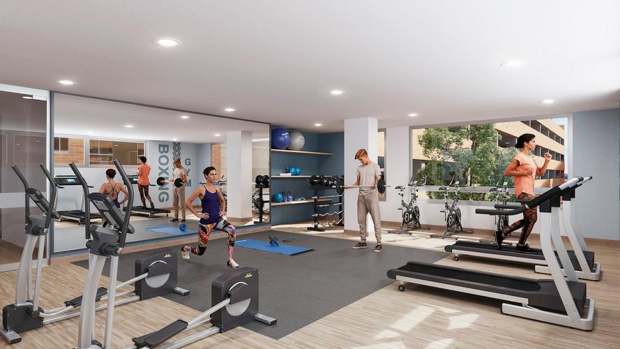 imagenes proyecto