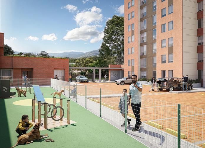 imagenes proyecto