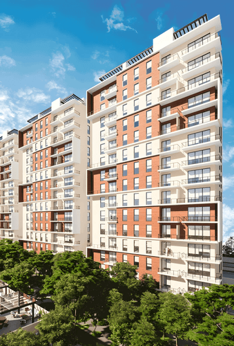 imagenes proyecto