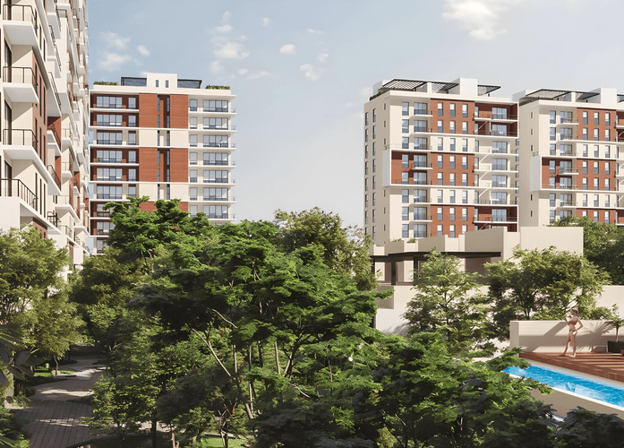 imagenes proyecto