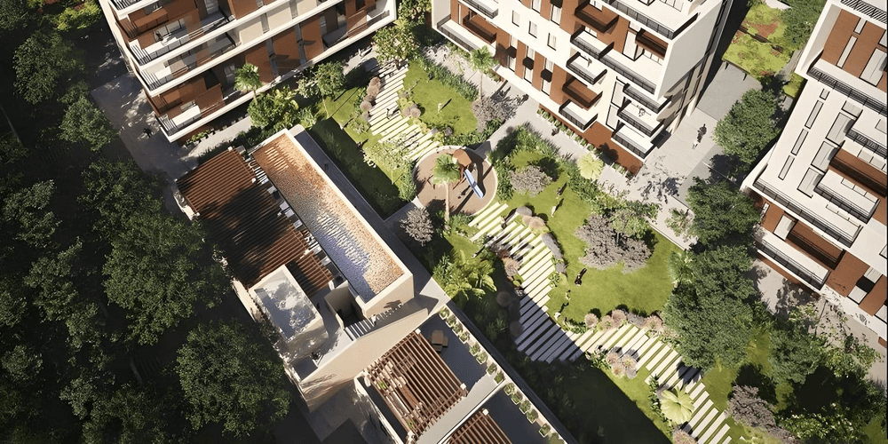 imagenes proyecto