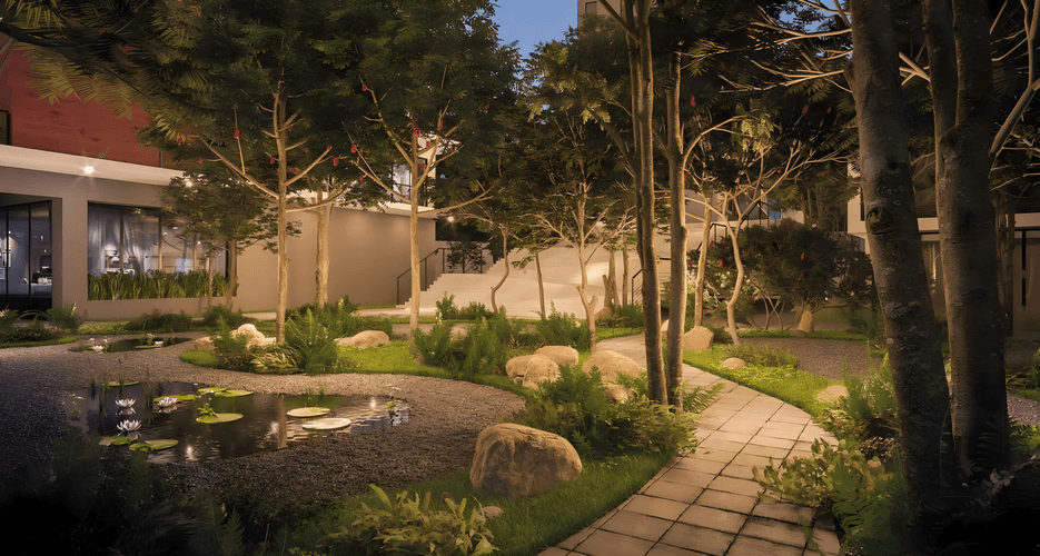 imagenes proyecto