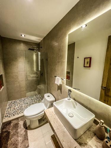 imagenes proyecto