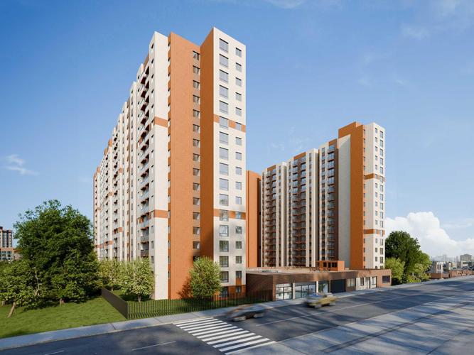 imagenes proyecto