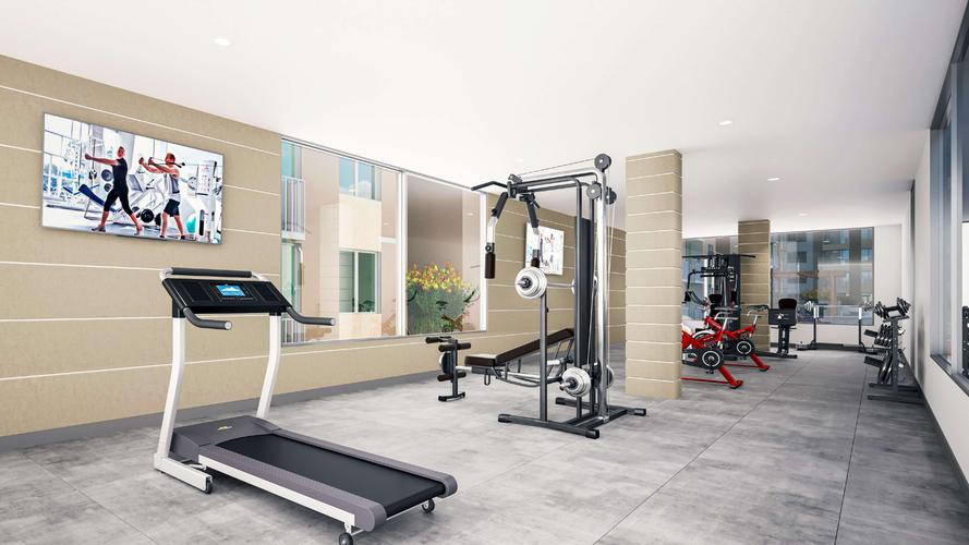 imagenes proyecto