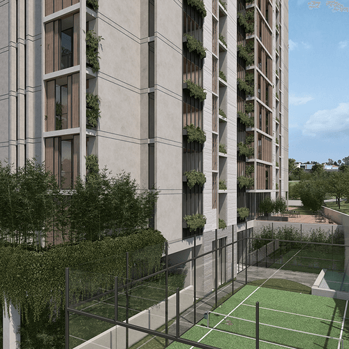 Portada de SHOJI LIVING