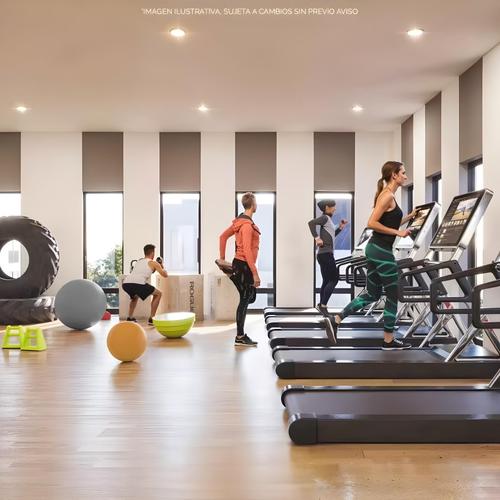 Portada de Stelar Valle Norte