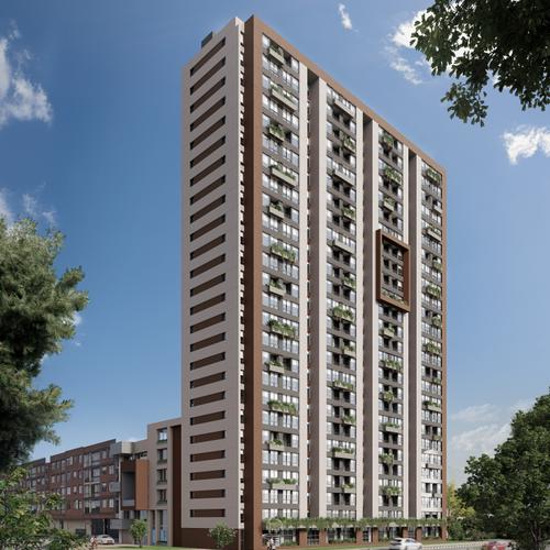 Portada de Conexo 145