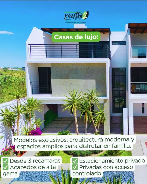 Portada de Xanthe