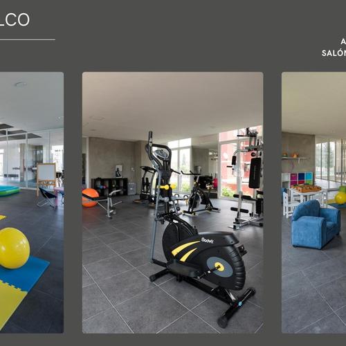 Portada de Vibe Coacalco