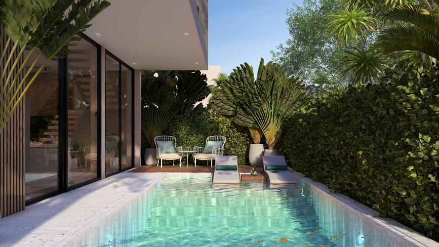 imagenes proyecto