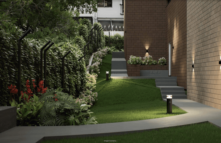 imagenes proyecto
