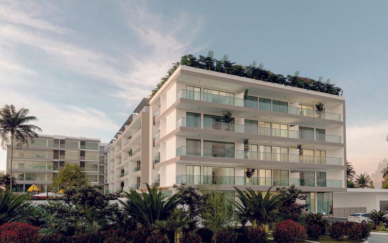 imagenes proyecto
