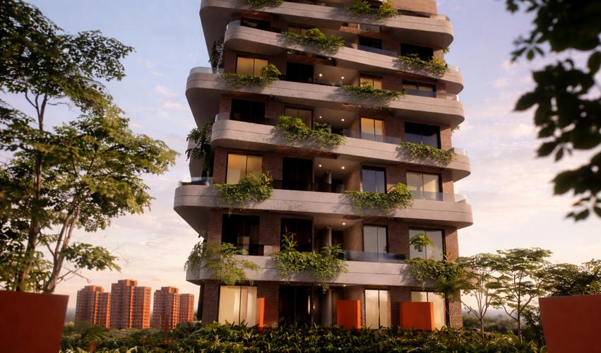 imagenes proyecto