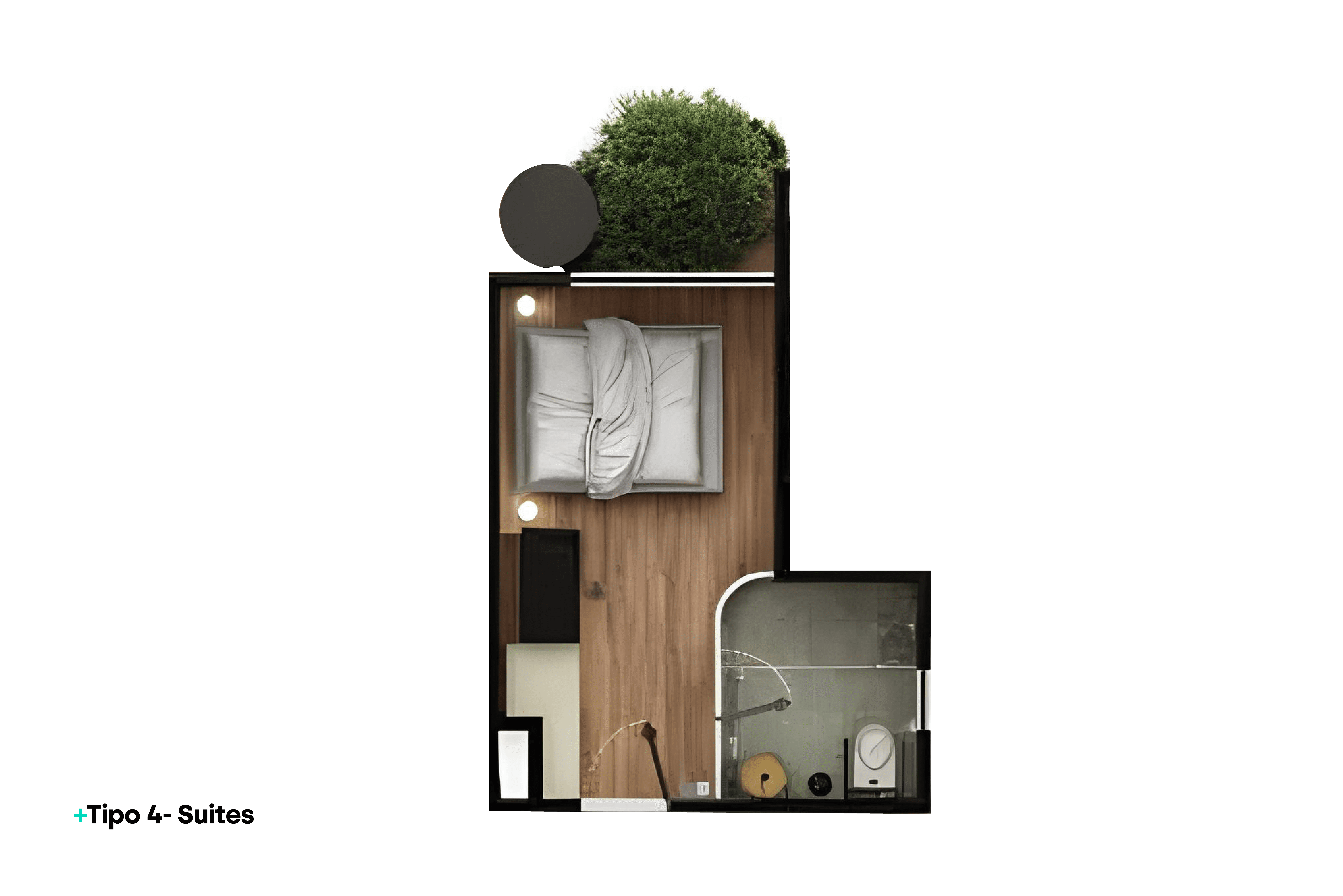 imagenes proyecto