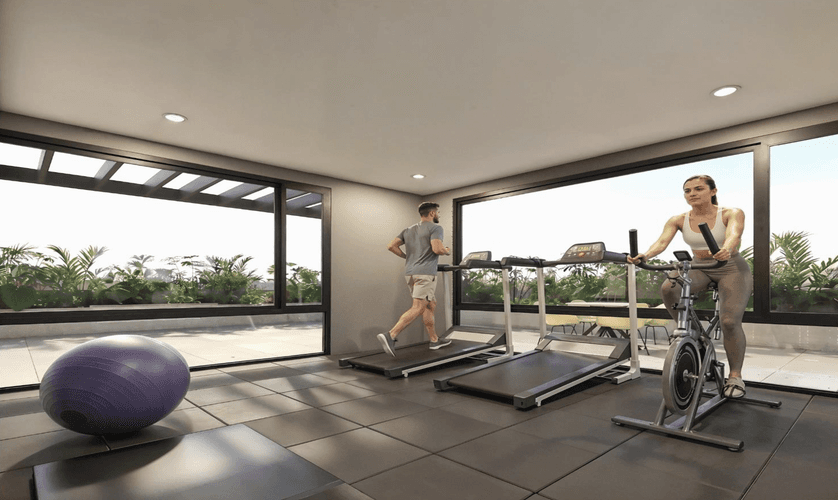 imagenes proyecto