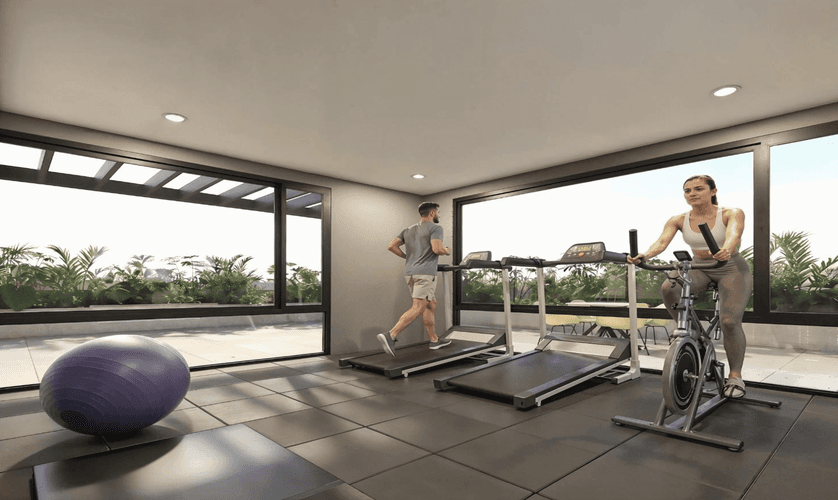 imagenes proyecto