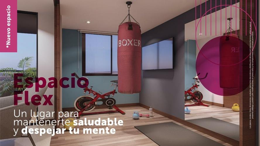 imagenes proyecto