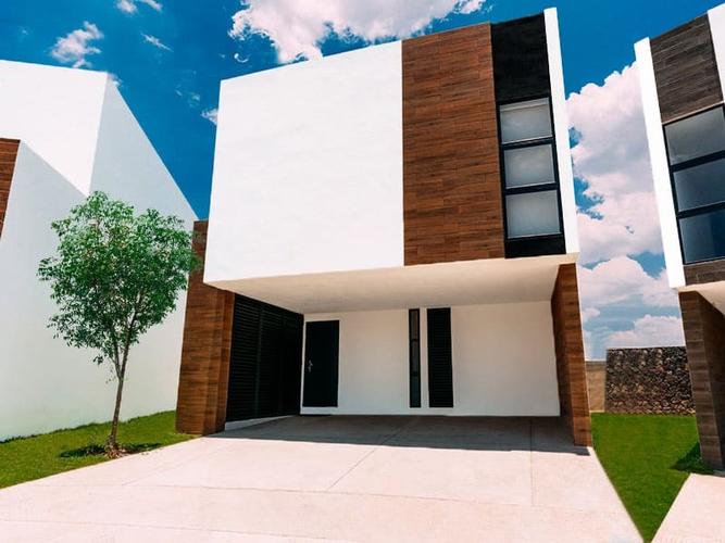 imagenes proyecto