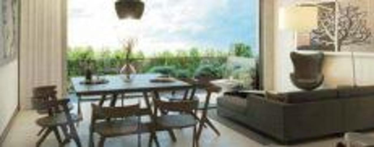 imagenes proyecto