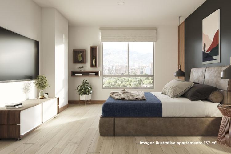 imagenes proyecto