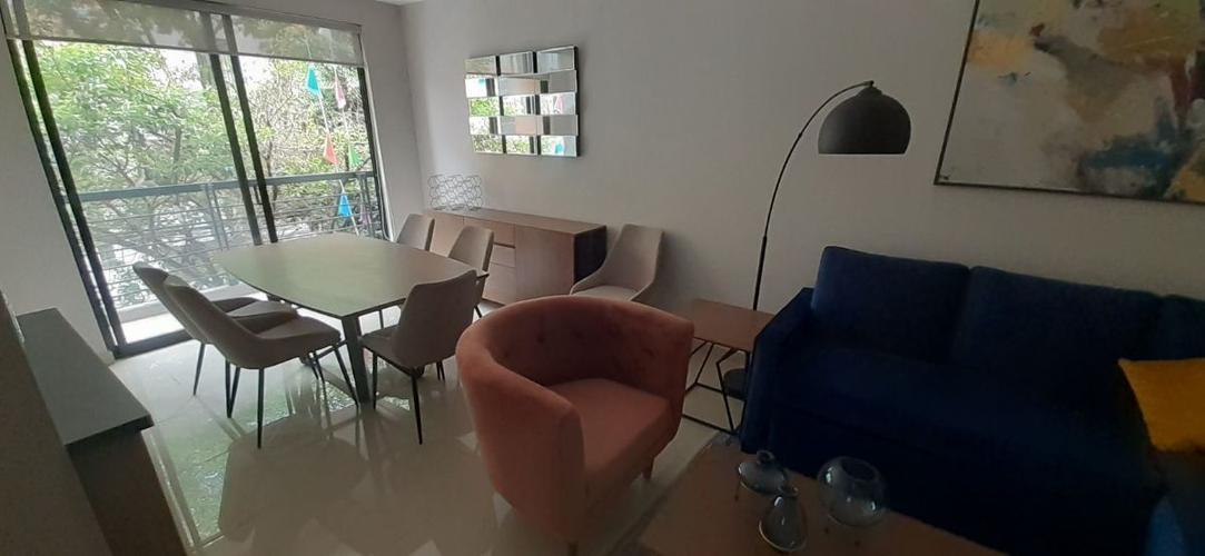 imagenes proyecto