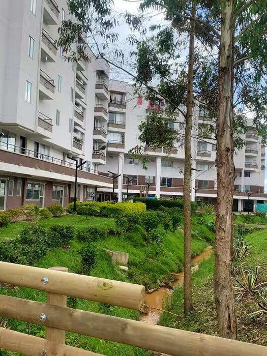 Girasoles del Tambo en LaHaus