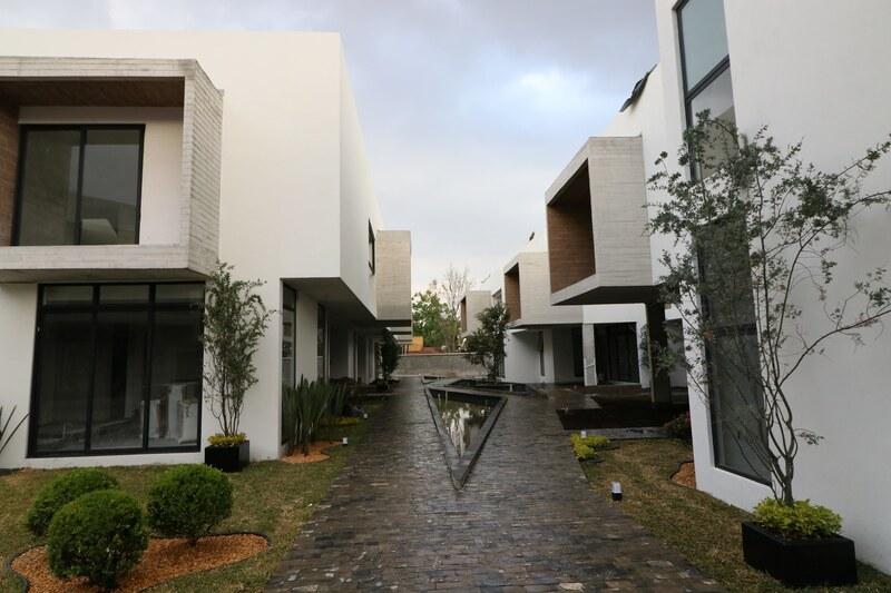 Brezo Desierto de los Leones en LaHaus